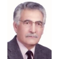 دکتر سید محمدجواد دانشگر