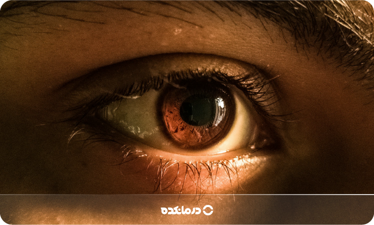 مردمک چشم کجاست و کار آن چیست؟ [عکس + ۹ نوع بیماری]