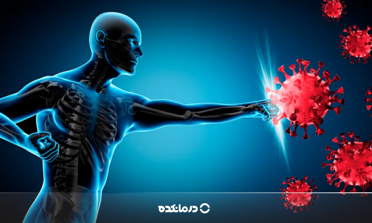 تقویت سیستم ایمنی بدن در برابر ویروس HPV؛ بررسی ۴ روش کاربردی و موثر