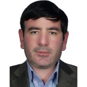 حسین ناصری