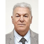 حمیدرضا فیضی