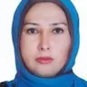 الهام السادات میرهاشمی