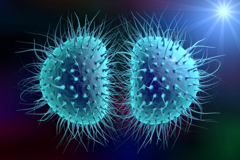 چه باکتری‌هایی می‌توانند منجر به مننژیت شوند؟