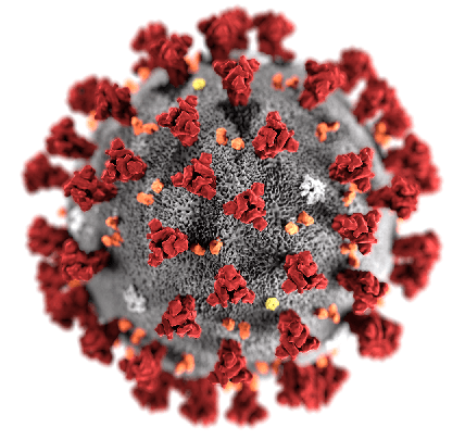 راهنمای جامع و کامل ویروس کرونا: هر چیزی که باید بدانید!