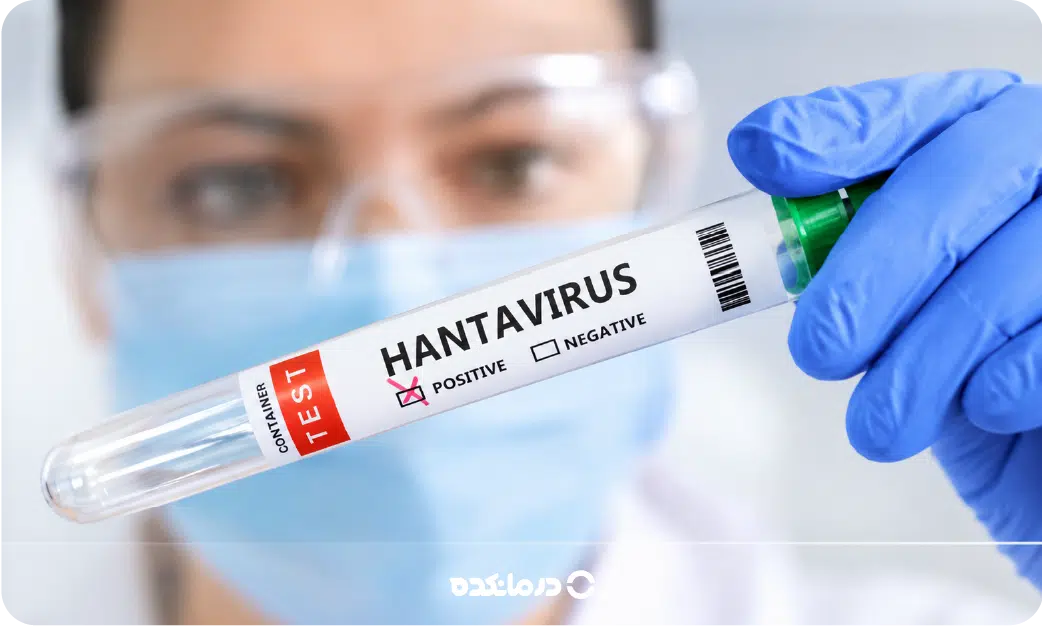 ویروس هانتا چیست و چطور به انسان منتقل می‌شود؟ آیا این بیماری کشنده است؟