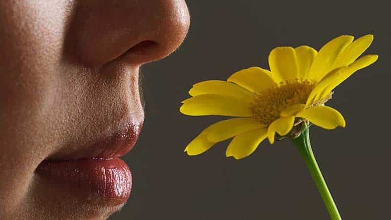آیا از دست دادن حس بویایی و چشایی از علائم کروناست آیا از دست دادن حس بویایی و چشایی از علائم کروناست