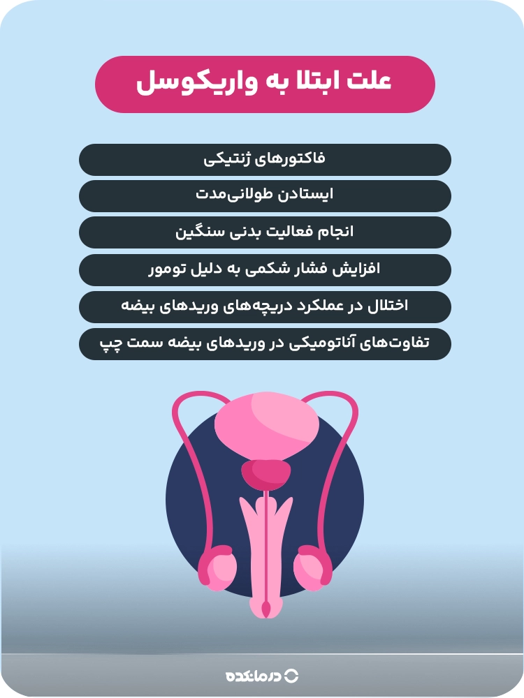 اینفوگرافیک علت ابتلا به واریکوسل