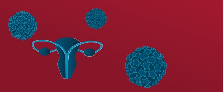 اکثر زنان حامل ویروس HPV، به سرطان دهانه رحم مبتلا نمی‌شوند. ویروس معمولاً طی تقریباً دو سال، بدون هیچ‌گونه درمانی از بین می‌رود.
