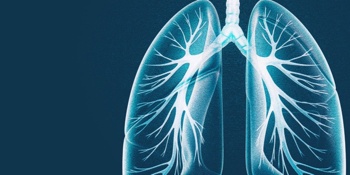 عفونت تنفسی می‌تواند تنها قسمت بالایی دستگاه تنفسی، یعنی سینوس‌ها و تارهای صوتی و یا قسمت پایینی یعنی از تارهای صوتی تا ریه‌ها را تحت تاثیر قرار دهد. 