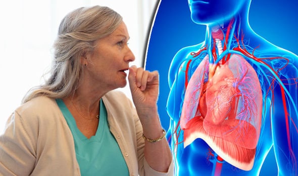 احتمال آلوده شدن سیستم ایمنی کودکان و افراد سالخورده به عفونت دستگاه تنفسی بیشتر است.