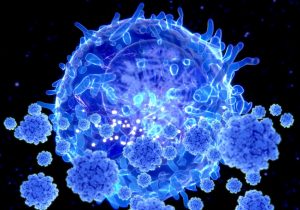 تا 6 ماه بعد از ابتلا به ویروس مصونیت سلولی یا سلول تی در بدن وجود خواهد داشت؛ این کشف به تهیه‌ی واکسن کرونا کمک می‌کند.