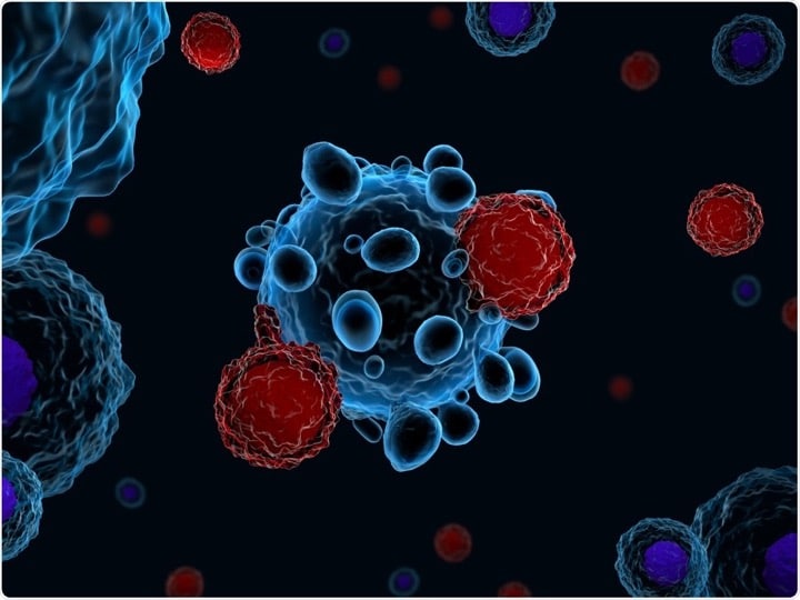 سلول تی نوعی گلبول سفید و بخشی از سیستم ایمنی است. این سلول‌ها در مبارزه با هر نوع بیماری، نه فقط ویروس کرونا، به آنتی‌بادی کمک می‌کنند.
