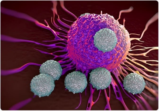حافظه‌ی سلولی سلول تی نسبت به ویروس کرونا حداقل تا 6 ماه ادامه دارد.