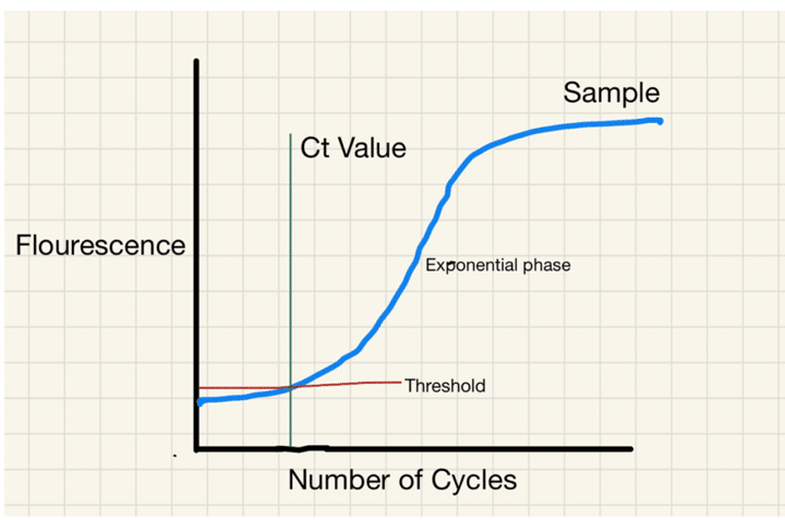 PCR: هرچه میزان آستانه‌ی چرخه پایین‌تر باشد، میزان RNA (مواد ژنتیکی) موجود در نمونه بیشتر است. هرچه عدد چرخه بالاتر باشد، RNA کم‌تری در نمونه وجود دارد.
