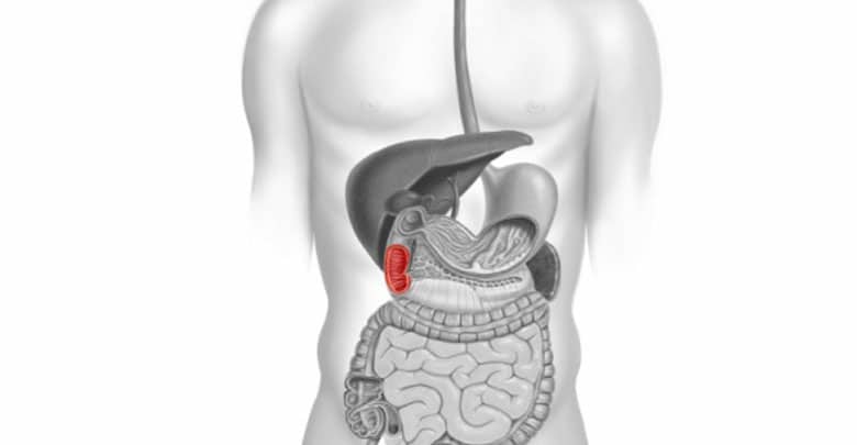 همه چیز درباره ی گاستریت / دئودنیت (ورم معده/التهاب دوازدهه)