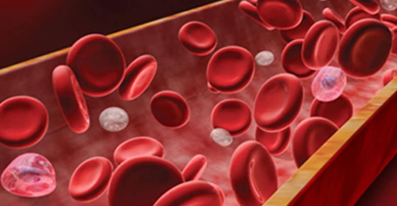 بیماری های خونی: گلبول های سفید و قرمز، پلاکت و پلاسما
