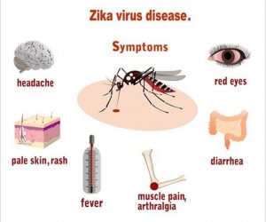 ویروس زیکا