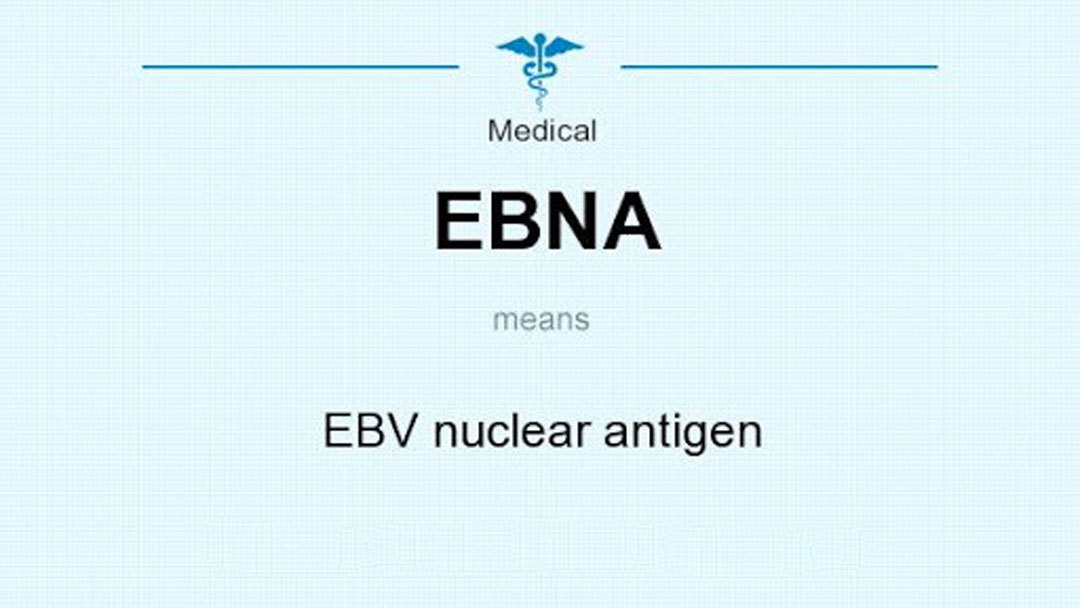 آزمایش آنتی ژن هسته‌ ای (EBNA)