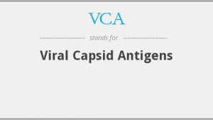آزمایش آنتی ژن کپسید ویروسی (VCA)