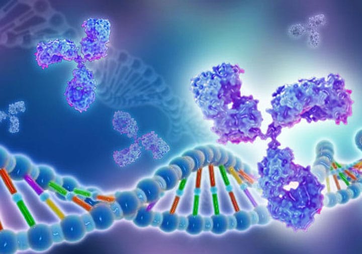 آزمایش آنتی ژن اولیه (EA)
