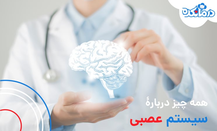 همه چیز دربارۀ سیستم عصبی