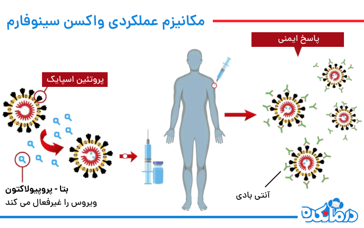 مکانیسم واکسن سینوفارم