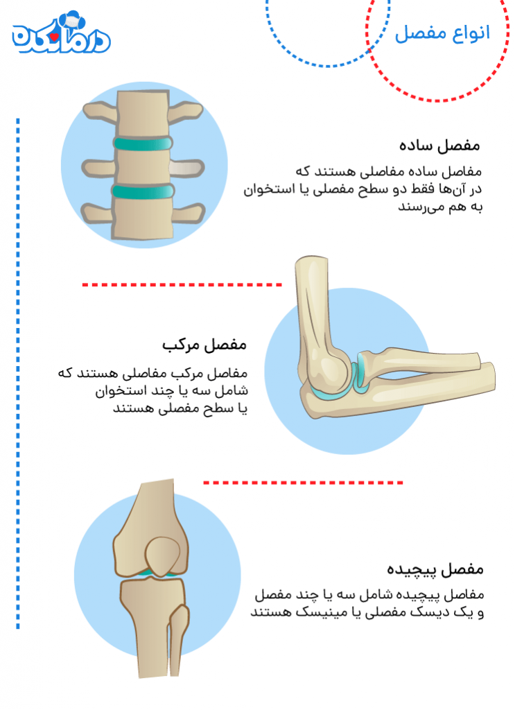 انواع مفصل بر اساس پیچیدگی