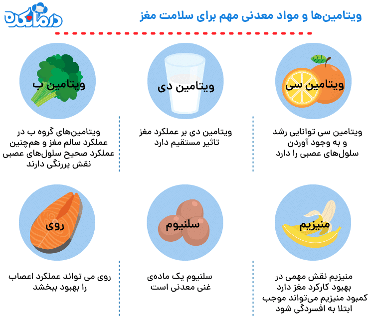 ویتامین های مورد نیاز مغز