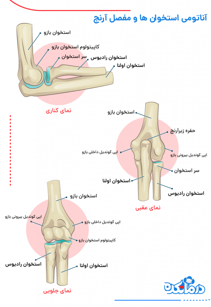 تصویری از استخوان‌های آرنج