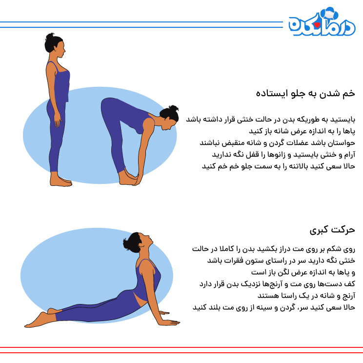 تصویر به طور گرافیگی چگونگی انجام حرکت کبری و خم شدن به جلو در حالت ایستاده را نشان می‌دهد.