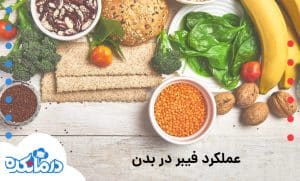 عملکرد فیبر در بدن