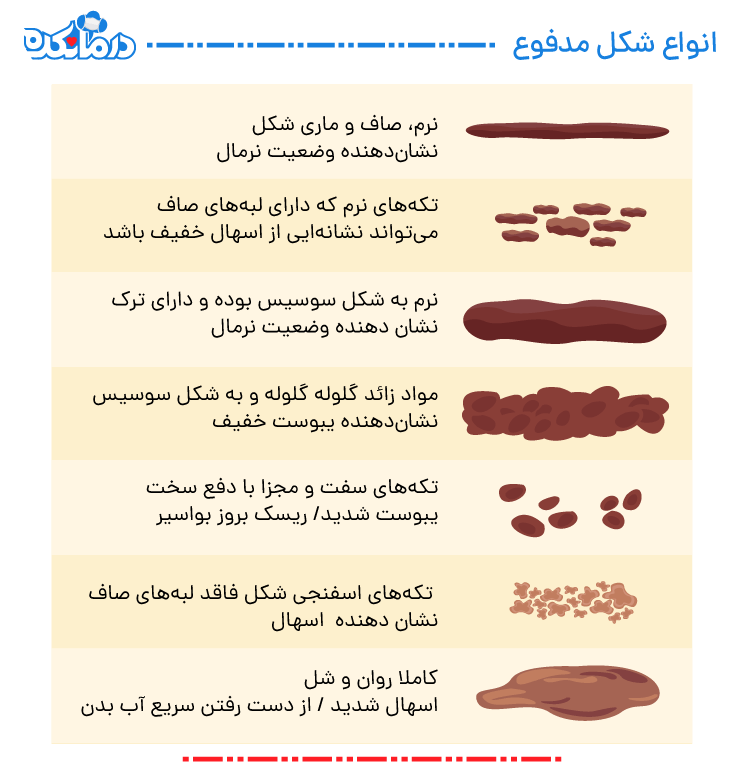 در این اینفوگرافیک شکل‌های مختلف مدفوع را می‌توانید ببینید.