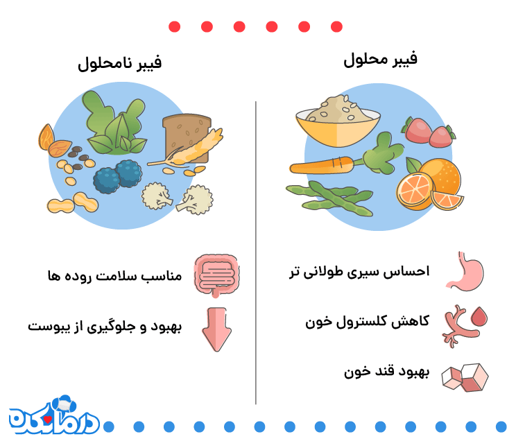 انواع فیبر