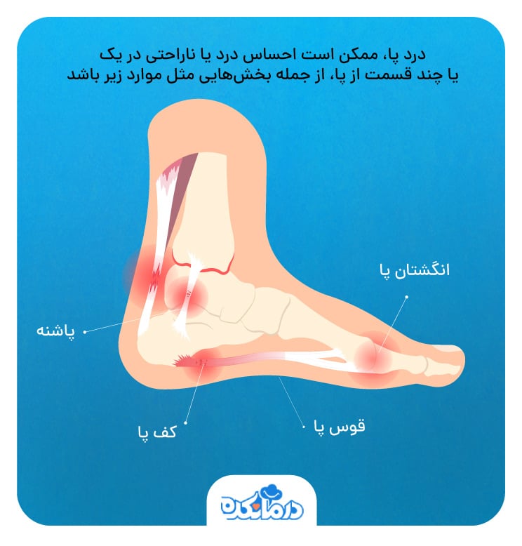 تصویر دقیقی از آناتومی کف پا