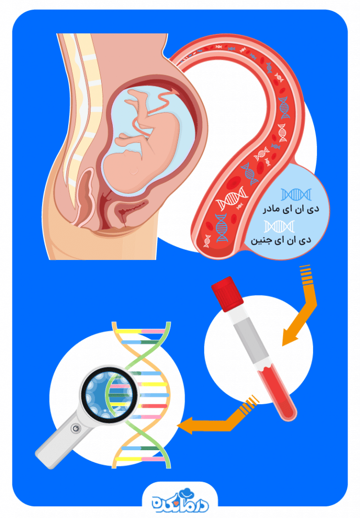 تصویر غربالگری جنین