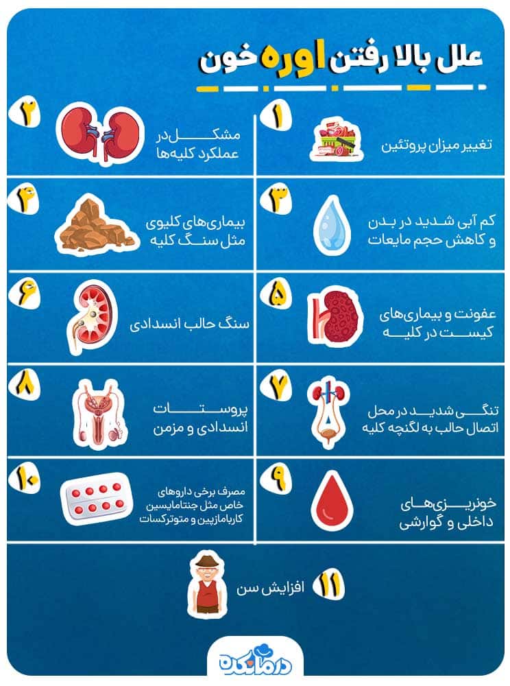 اینفوگرافی از علل بالا رفتن اوره خون