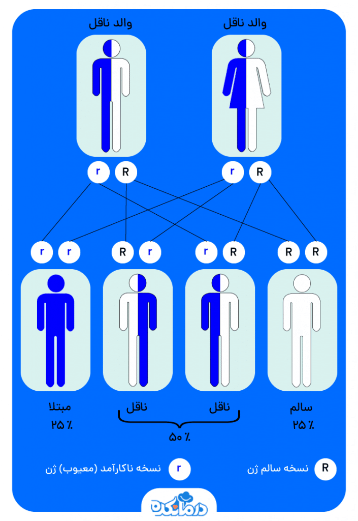 تصویری که نشان می دهد فیبروز کیستیک چگونه به فرزند منتقل می شود.