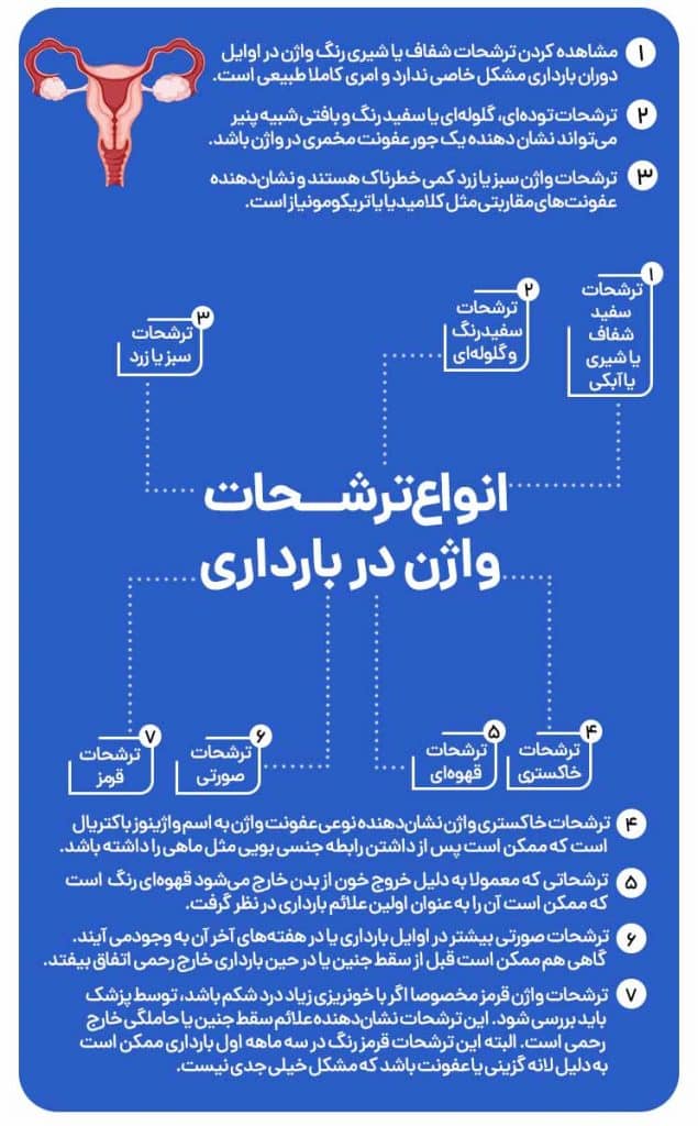 اینفوگرافی از انواع ترشحات واژن در بارداری