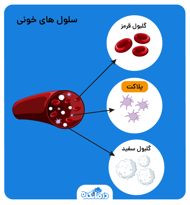 نمایی از سلول‌های خونی شامل پلاکت، گلبول قرمز و گلبول سفید