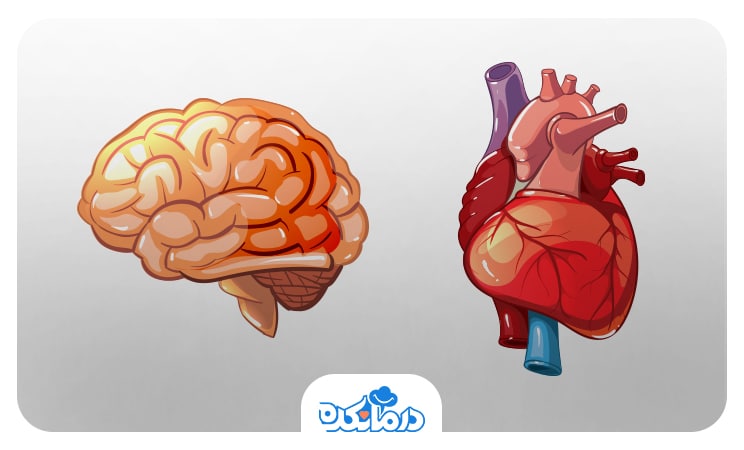 تصویری از قلب و مغز