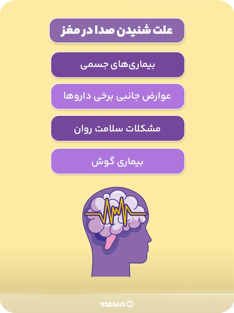 اینفوگرافی «علت شنیدن صدا در مغز» (بیماریهای جسمی/ مشکلات سلامت روان/ بیماری گوش/ عوارض جانبی برخی داروها)