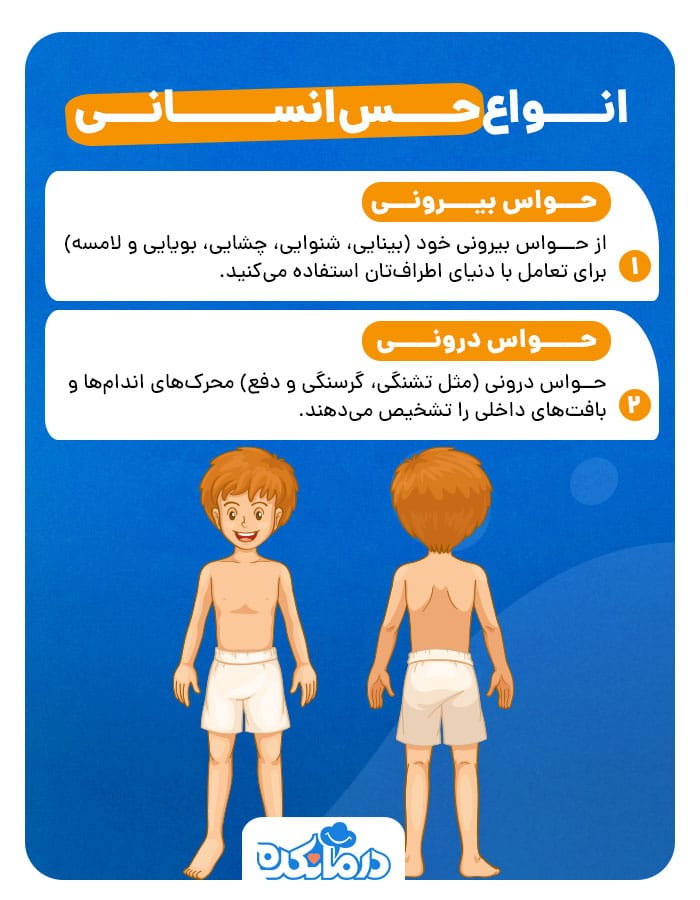 اینفوگرافی در مورد انواع حواس انسان