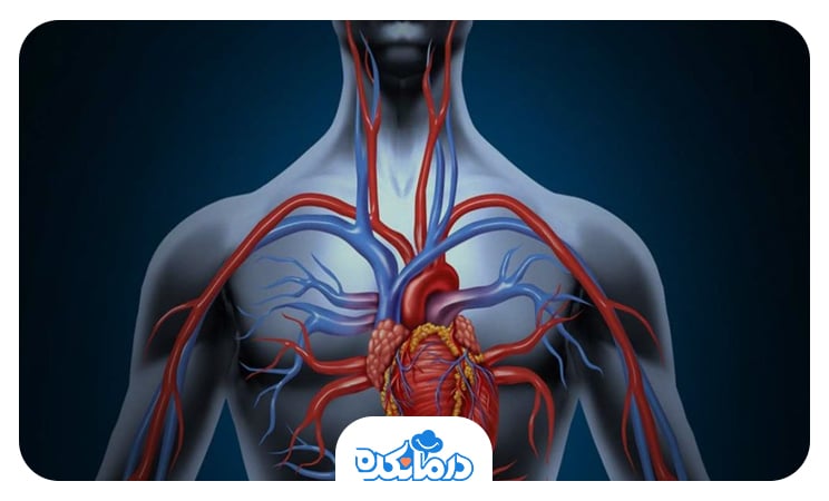 تصویر قلب، شریان‌ها و وریدها در بدن
