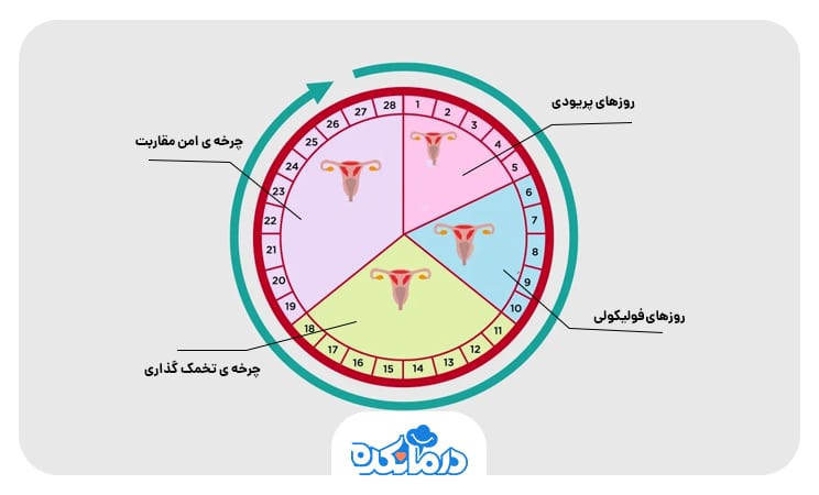 تصویر چرخه قاعدگی