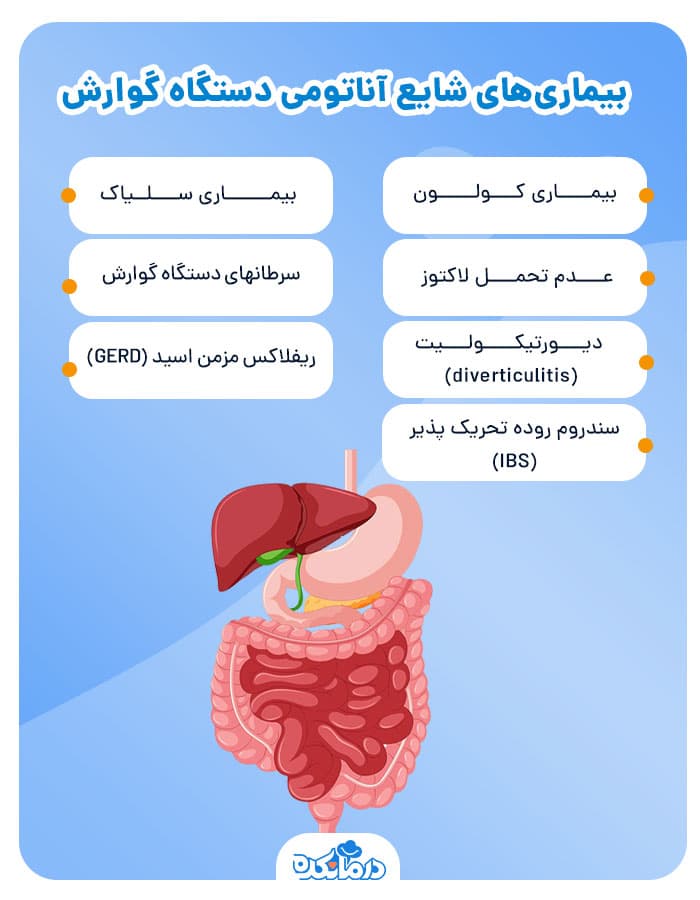 اینفوگرافی بیماری های اثرگذار بر عملکرد آناتومی گوارش