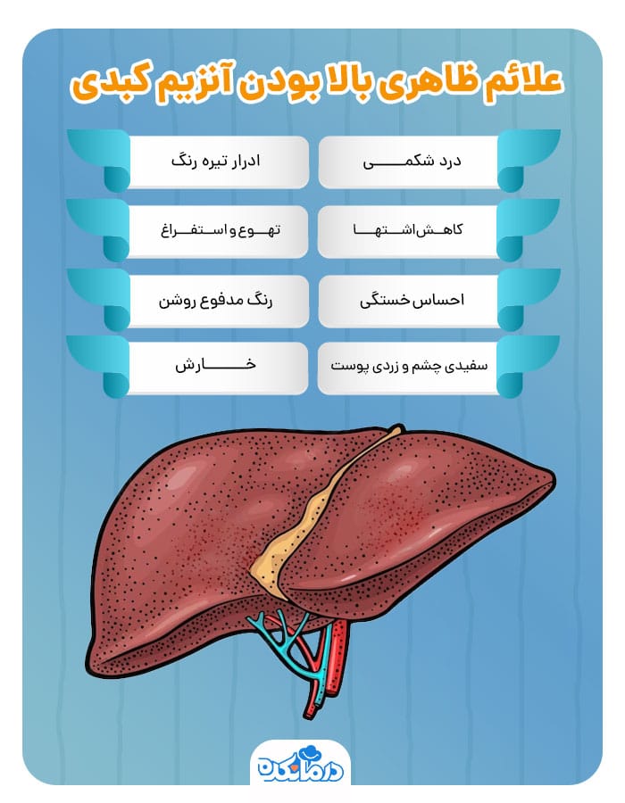 اینفوگرافیک علائم ظاهری آنزیم کبدی بالا