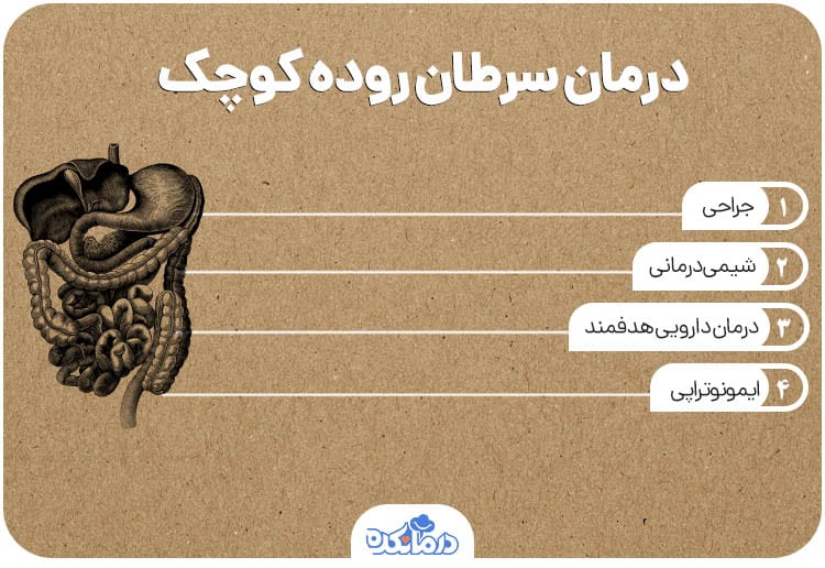 اینفوگرافی درباره راه‌های درمان سرطان روده باریک