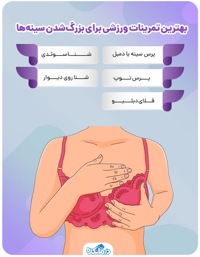 اینفوگرافیک بهترین تمرینات ورزشی برای بزرگ‌شدن سینه‌ها