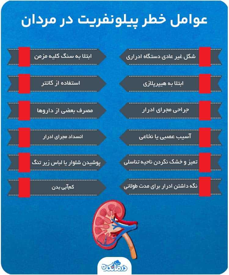 اینفوگرافی درباره عوامل خطر عفونت کلیه در مردان