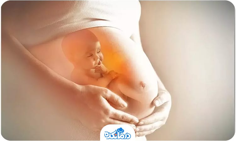 تصویر یک جنین در شکم مادر